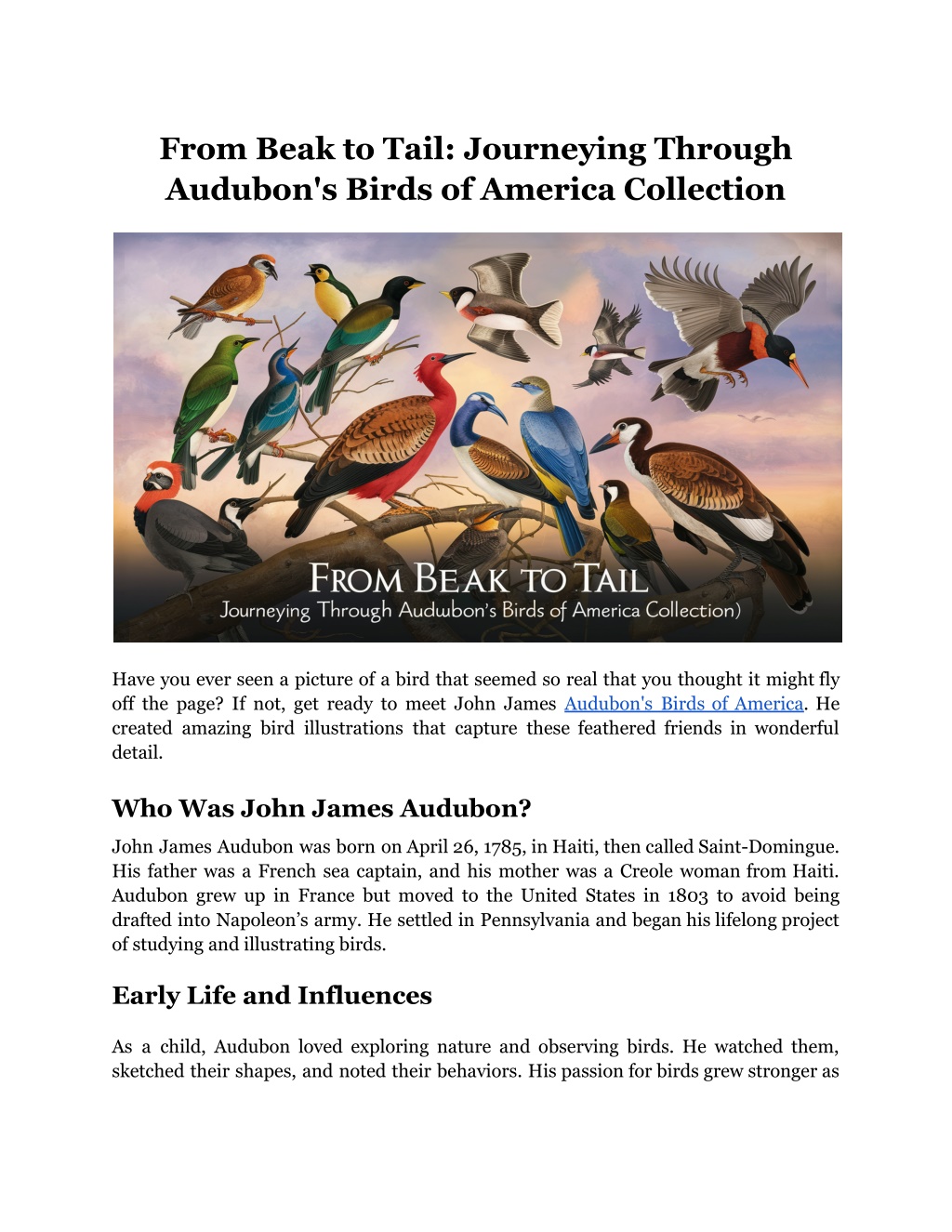 from beak to tail journeying through audubon l.w