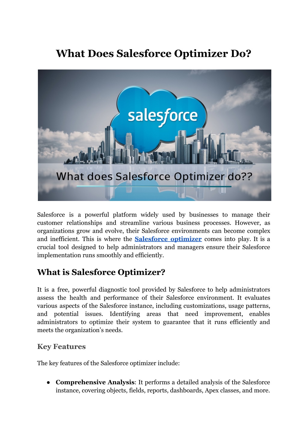 what does salesforce optimizer do l.w