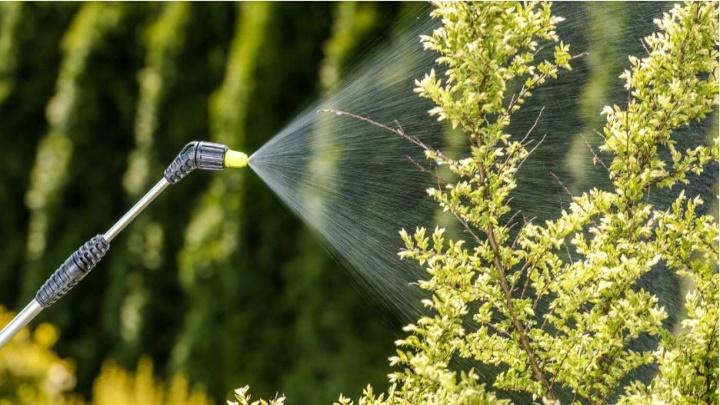 Best Pest Control Experts Service In Vero Beach