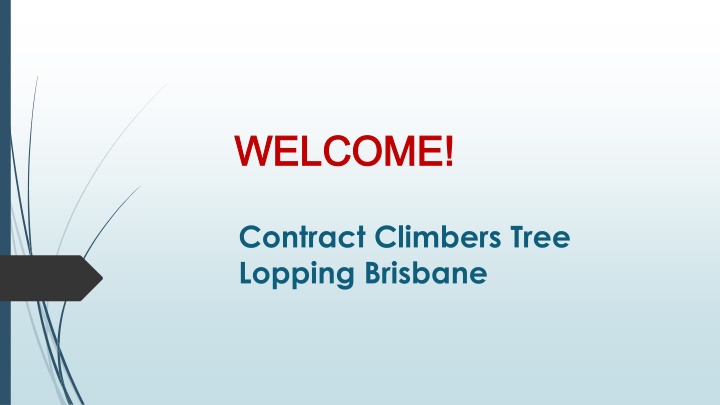 Best Tree Removal in Heathwood
